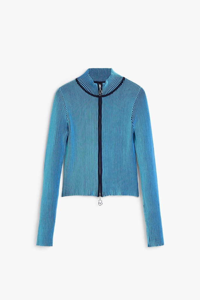 REPRIS_JERS_ESPAC 5025 AZUL ESPACIAL