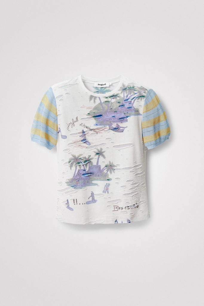 TS_HAWAI