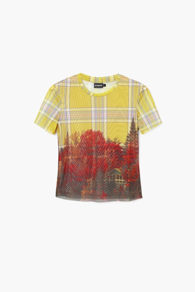 TS_DOUBLE 8011 AMARILLO TRIGO