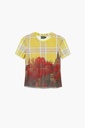 TS_DOUBLE 8011 AMARILLO TRIGO